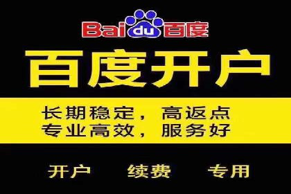 某品牌SEM广告投放案例：如何提高转化率